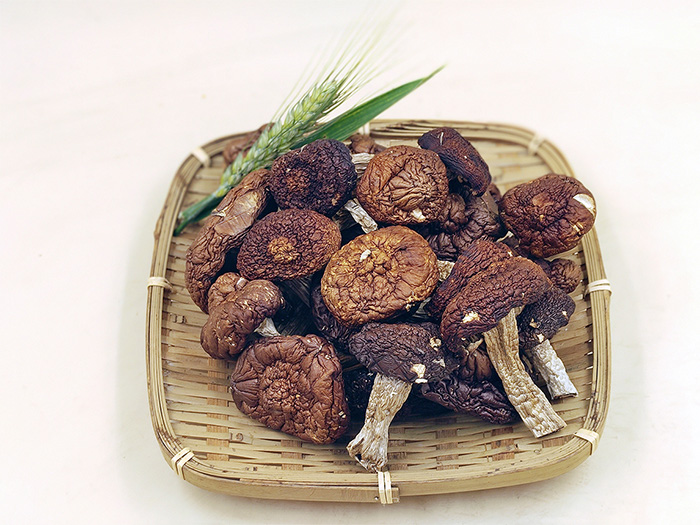 赤松茸干貨